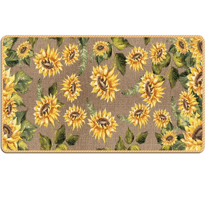 Non-Slip Machine Washable Soft Bathroom Mat Diatomite Area Rug Absorbent Floor Mat