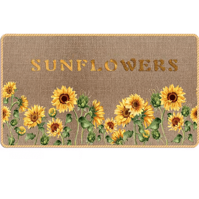Non-Slip Machine Washable Soft Bathroom Mat Diatomite Area Rug Absorbent Floor Mat