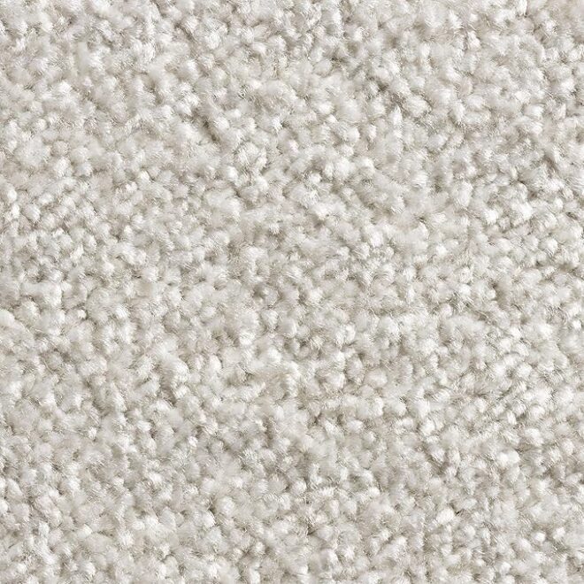 4m Nylon Wall to Wall Carpet Fire Proof Carpet for Commercial Flooring