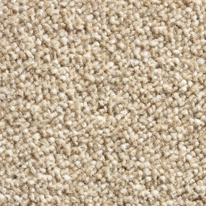4m Nylon Wall to Wall Carpet Fire Proof Carpet for Commercial Flooring