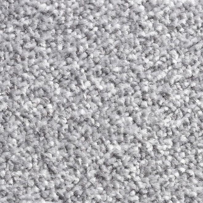 4m Nylon Wall to Wall Carpet Fire Proof Carpet for Commercial Flooring
