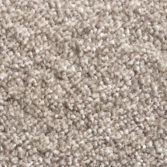 4m Nylon Wall to Wall Carpet Fire Proof Carpet for Commercial Flooring
