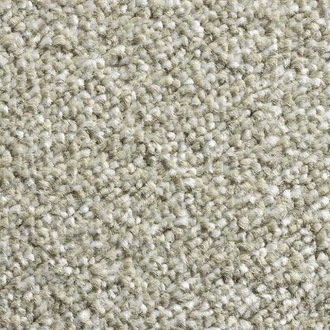 4m Nylon Wall to Wall Carpet Fire Proof Carpet for Commercial Flooring