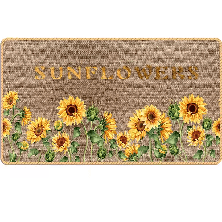 Non-Slip Machine Washable Soft Bathroom Mat Diatomite Area Rug Absorbent Floor Mat
